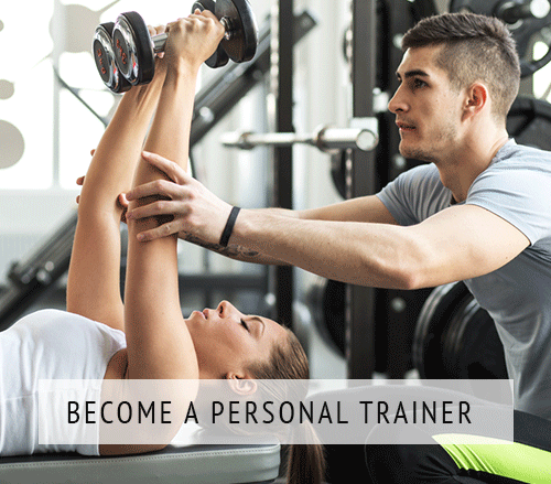 become a trainer